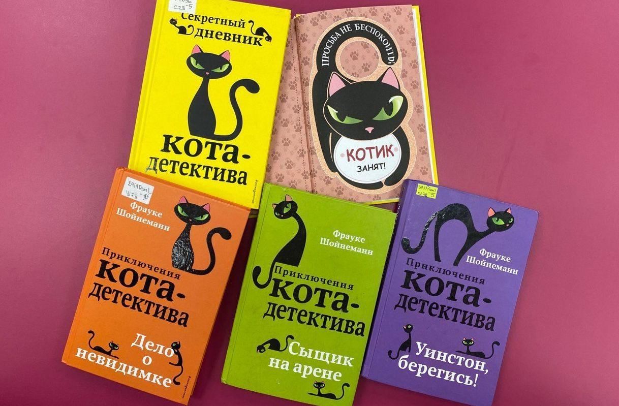 Квест — игра «Секретный дневник кота — детектива» 2022, Арсеньев — дата и  место проведения, программа мероприятия.