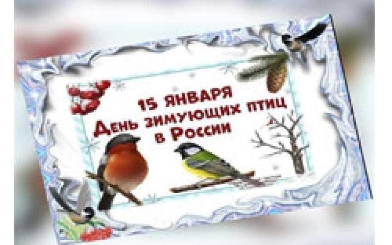 15 января день в истории картинки Игра-викторина "День зимующих птиц". 2024, Альшеевский район - дата и место пров