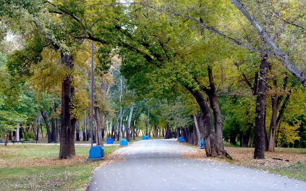 Зауральная роща в оренбурге фото Виртуальная экскурсия "В твоих аллеях темный сад." 2020, Оренбург - дата и место