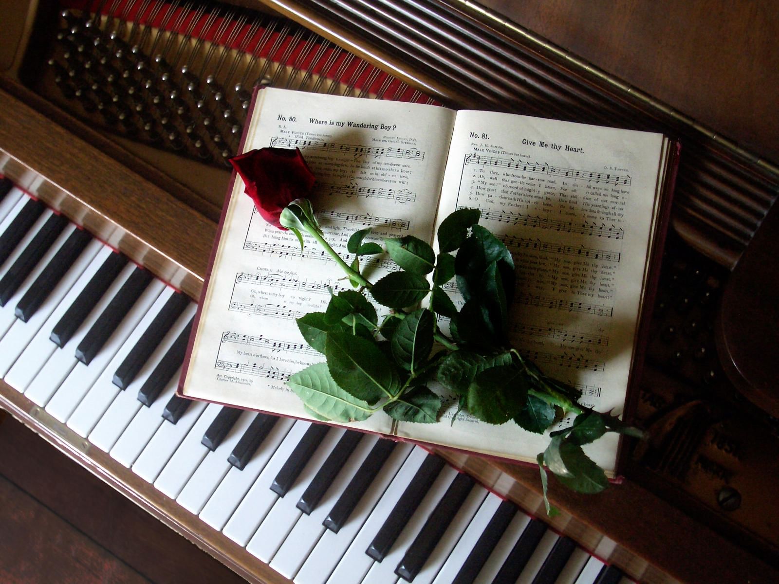 Romance music. Фортепиано. Музыкально-поэтический вечер. Русский романс. Цветы на рояле.