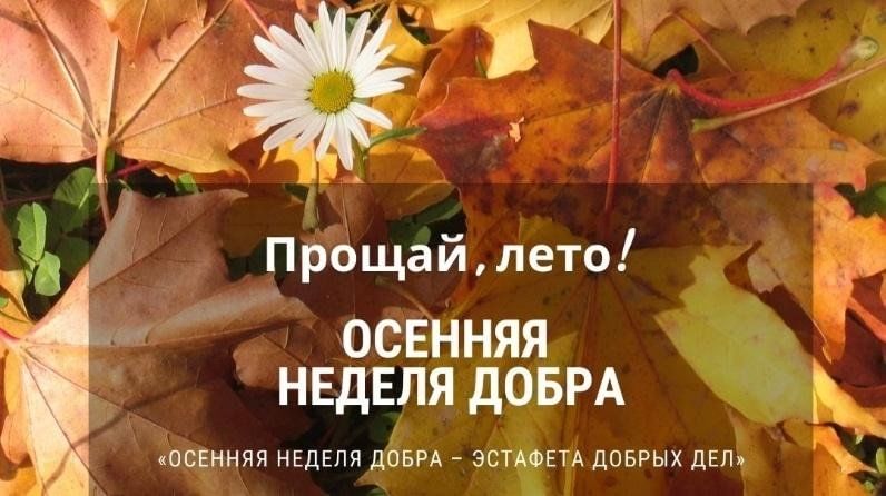 Осенняя неделя. Осенняя неделя добра. Осенняя неделя добрых дел. Осенняя неделя добрых дел в школе. Осенняя неделя добра картинки.