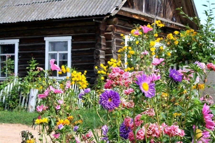 Деревня дом цветы фото Фотоконкурс "Цвети моя деревня" 2021, Бураевский район - дата и место проведения