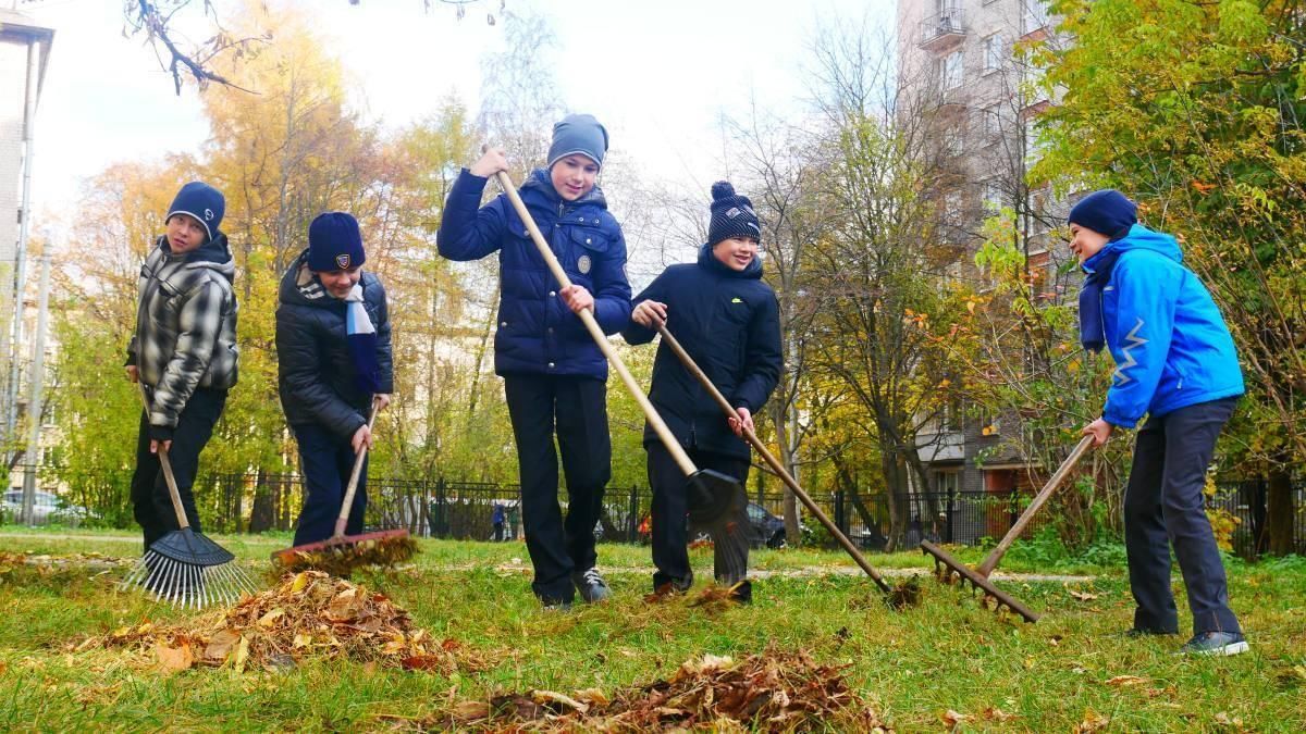 Картинка уборка территории