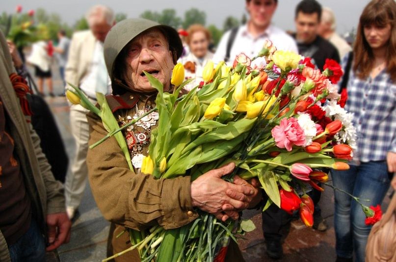 Тюльпаны на 9 мая картинки