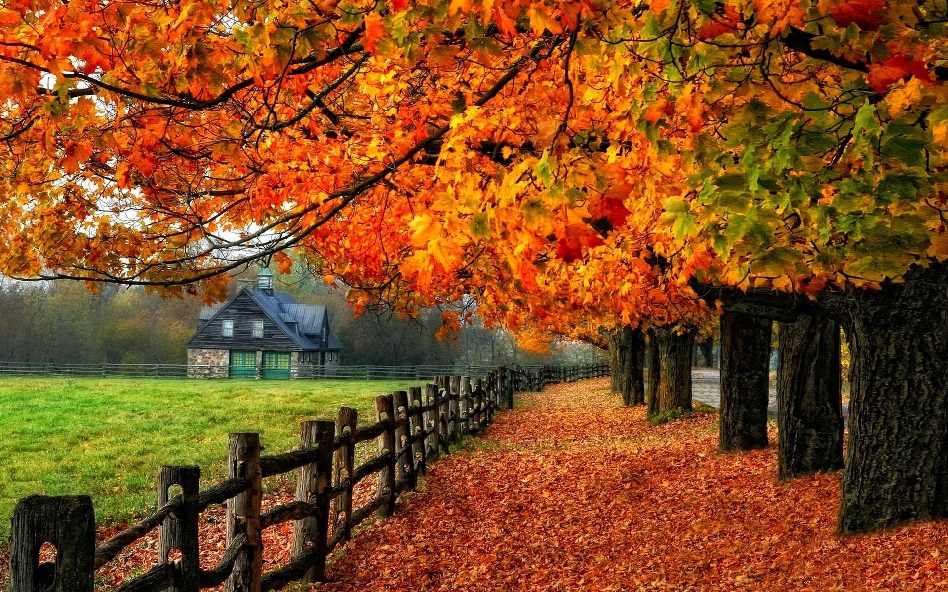 Autumn luvit