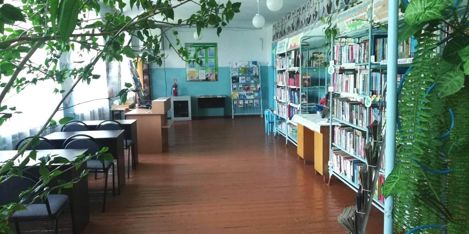 Библиотеки амурской области
