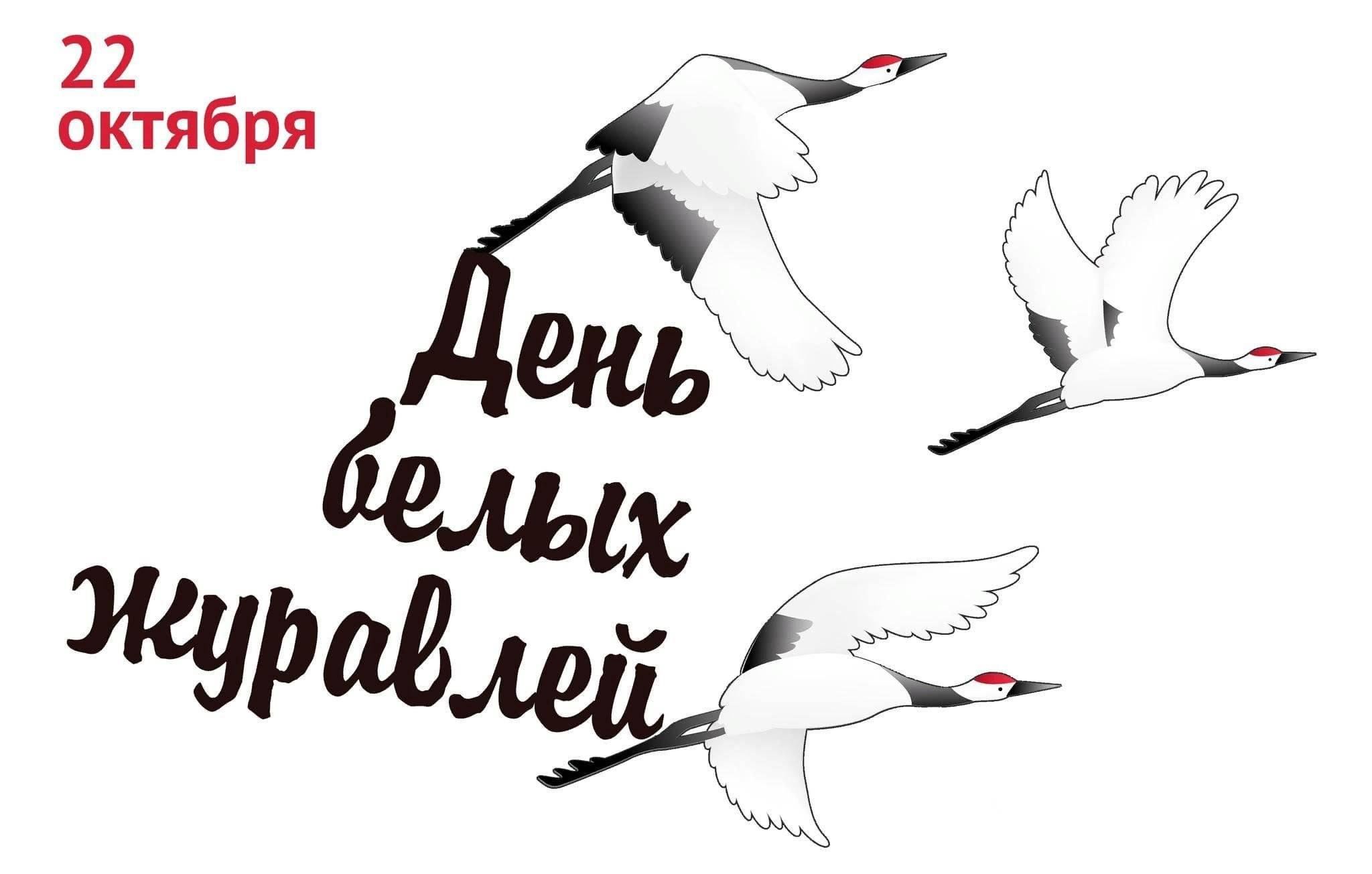 22 октября –День белых журавлей.Час памяти «Без срока давности» 2023,  Альметьевский район — дата и место проведения, программа мероприятия.