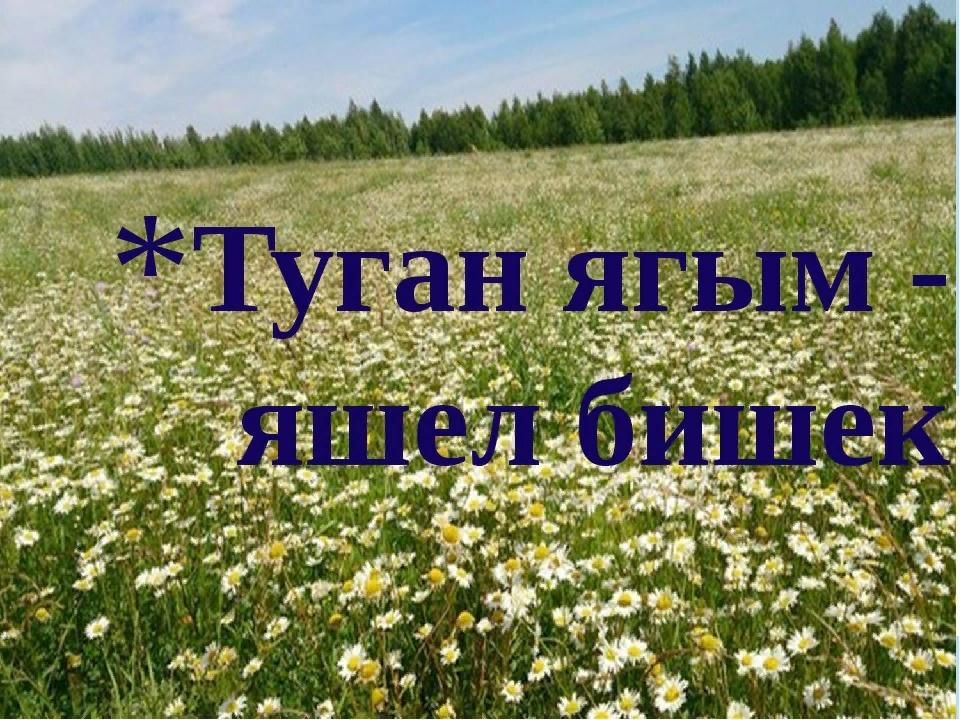 Авыл турында презентация