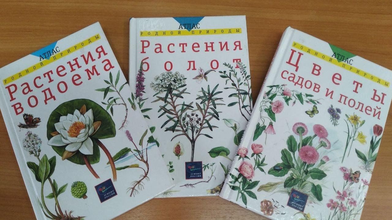 Час интересных сообщений «Травинка — витаминка» 2024, Шумерля — дата и  место проведения, программа мероприятия.