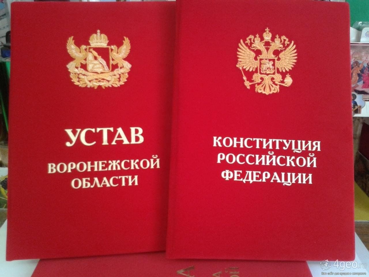 Законы воронежской области примеры