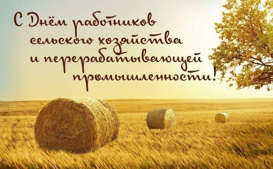 День сельского хозяйства и перерабатывающей промышленности фото День сельского работника"-концерт 2022, Кукморский район - дата и место проведен