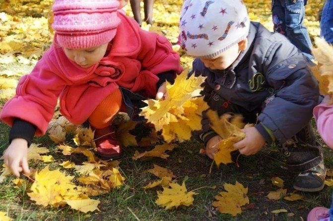 Осень фото для детей в детском саду