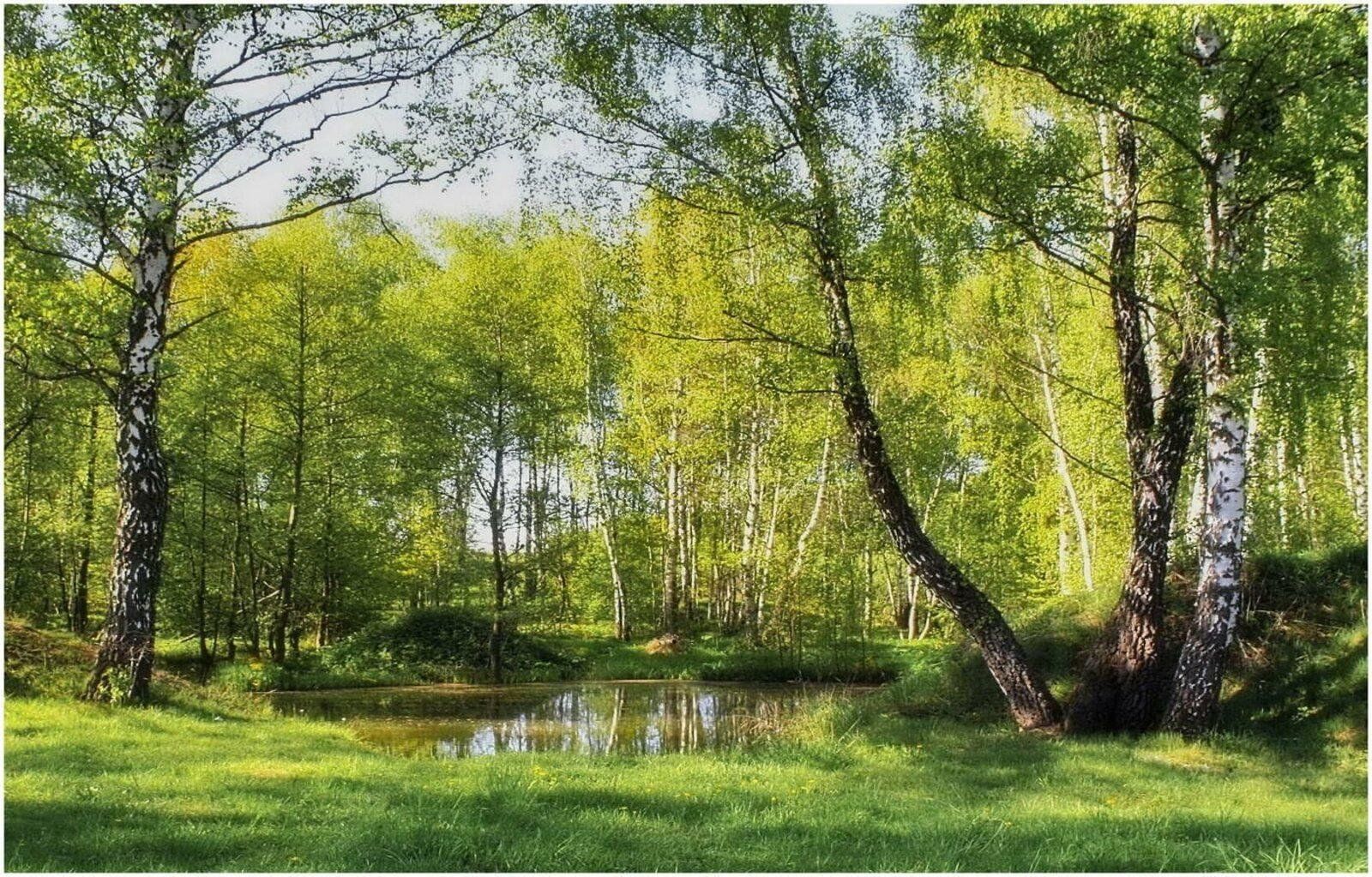 Природа мая картинки