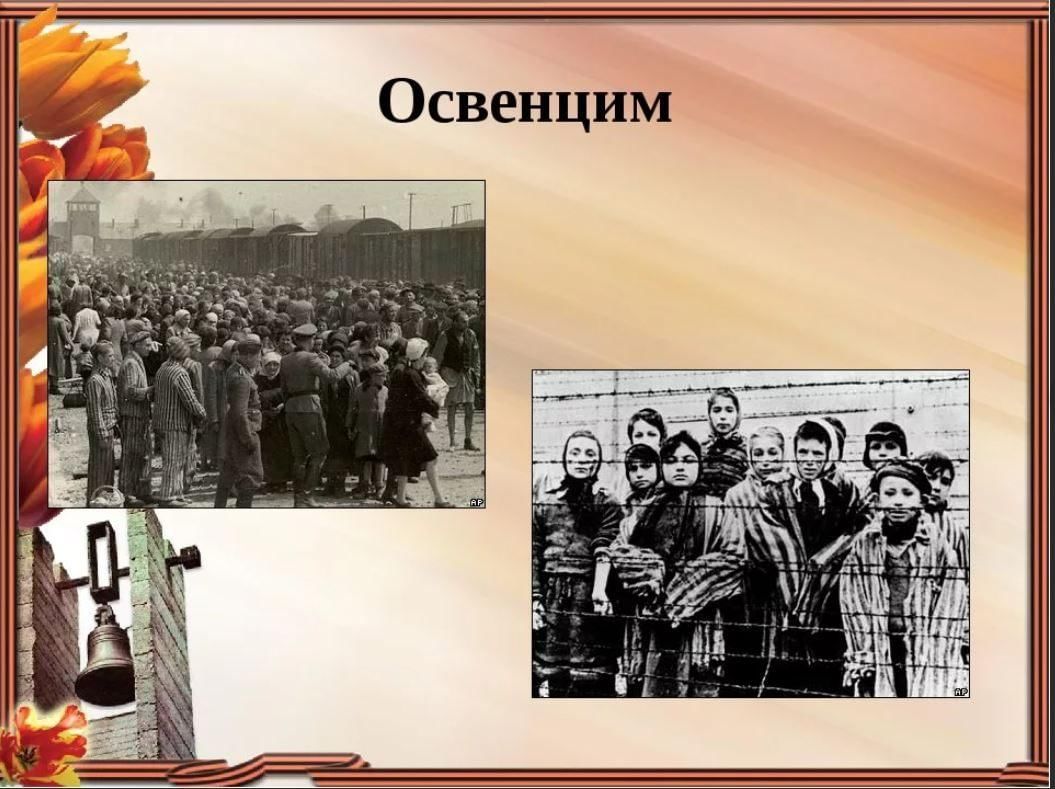 Освенцим в библиотеке. Освенцим концлагерь узники. Узники концлагерь Освенцима. Дети концлагерей...узники Освенцима…. Международный день освобождения узников фашистских концлагерей.