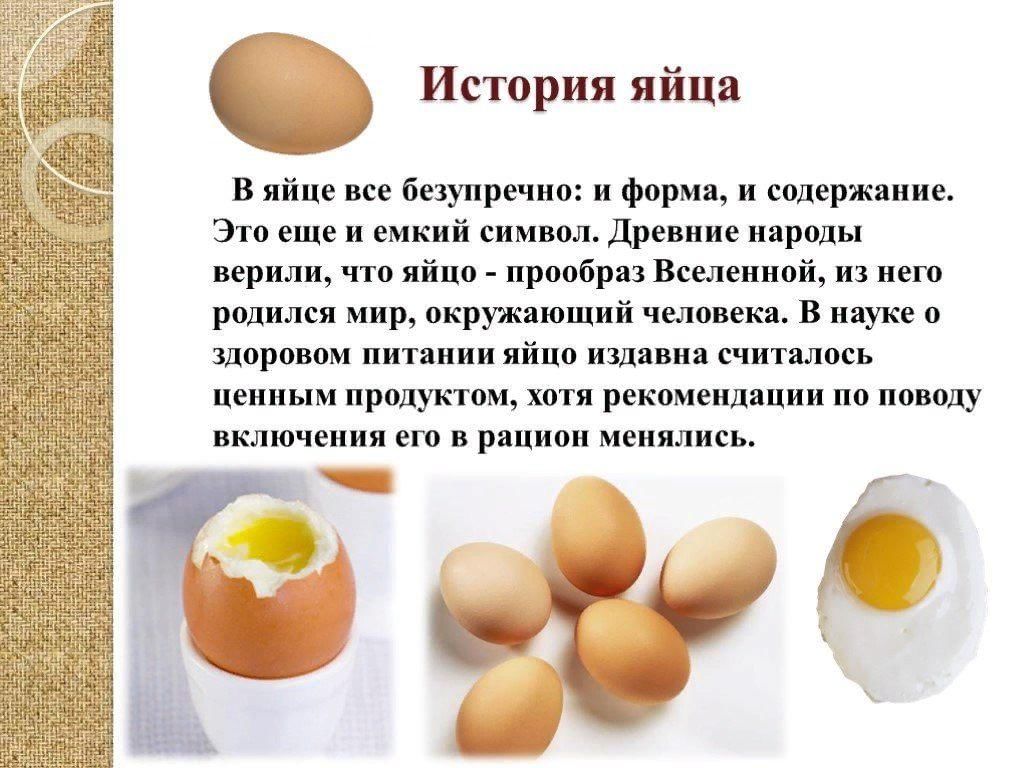 Куриное яйцо тест