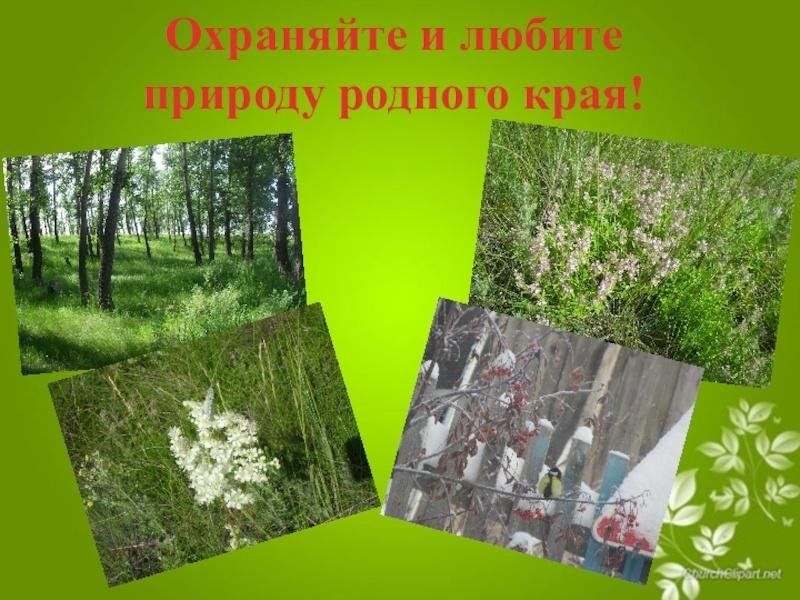 Защита нашего края проект