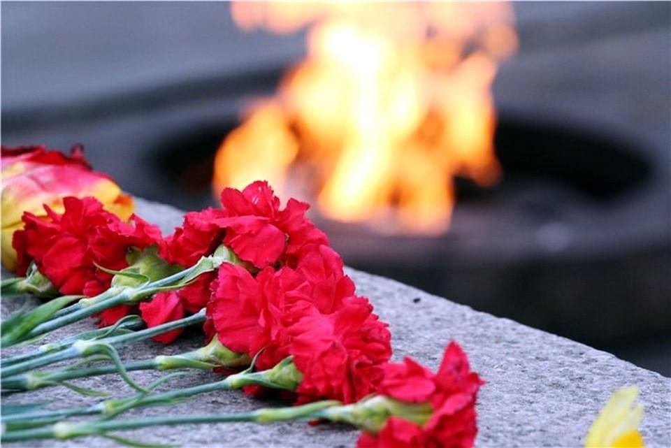 Гвоздики на вечном огне рисунок