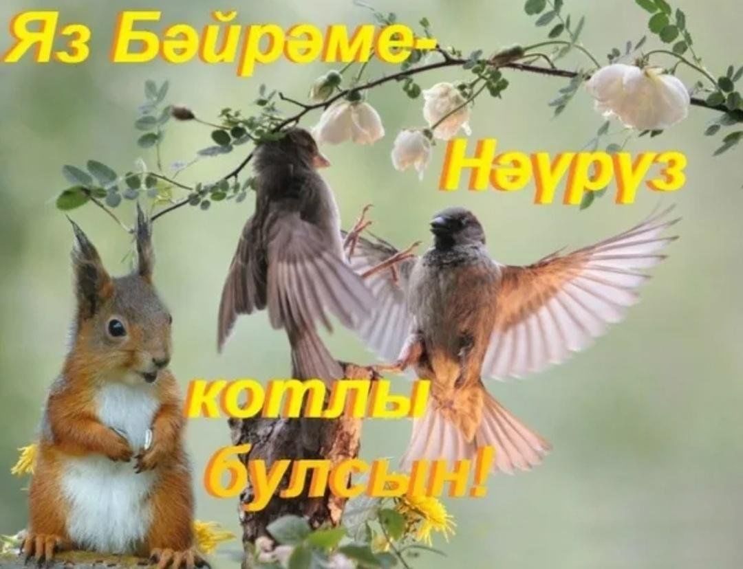 Нәүрүз бәйрәме картинки