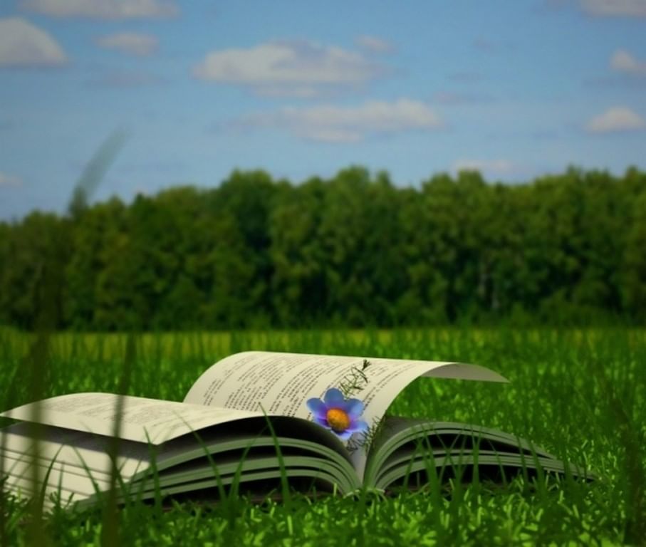Рисунок лето с книгой