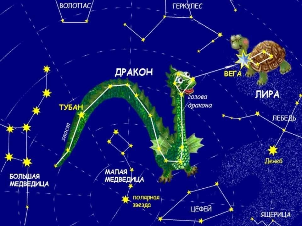 Дракон (созвездие) — Википедия
