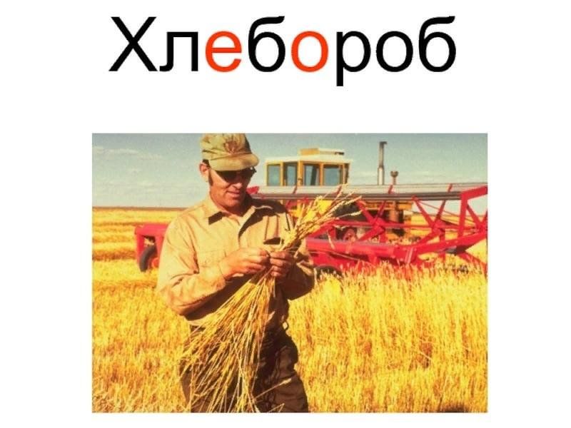 Хлебобор. Хлебороб словарное слово. Профессия Хлебороб. Профессия Хлебороб для детей. Нужные профессии Хлебороб