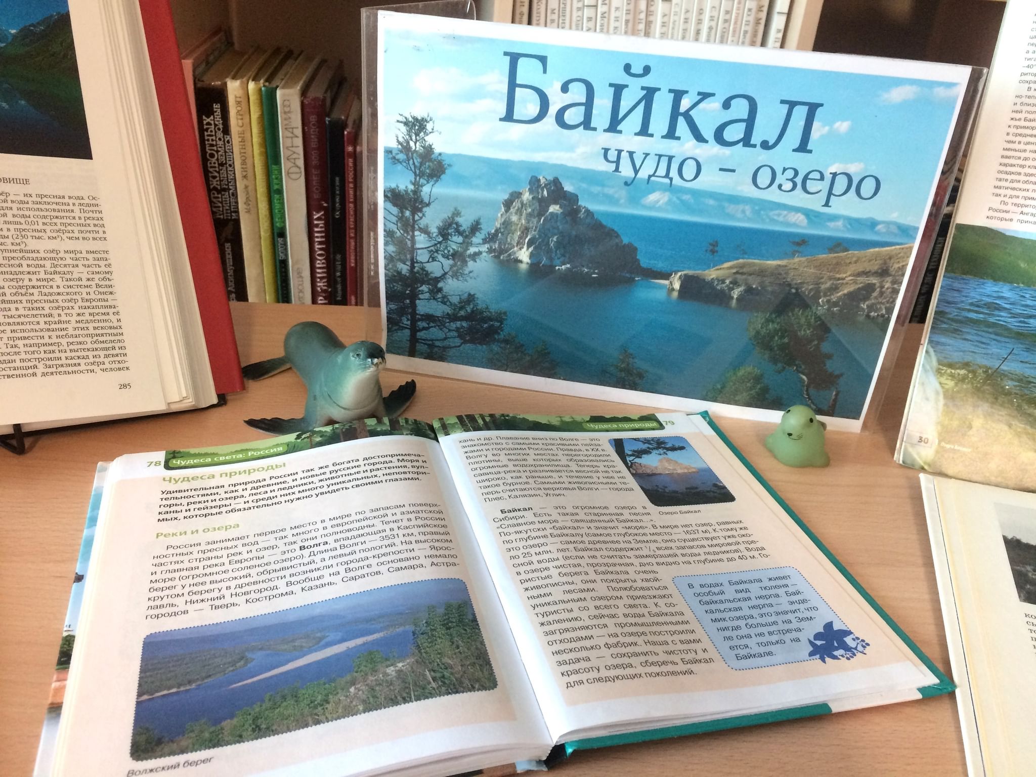 Час чуда. Байкал детская энциклопедия. Книги по экологии Байкала для детей. Озеро Байкал познавательный час. Про Байкал в библиотеке для детей.