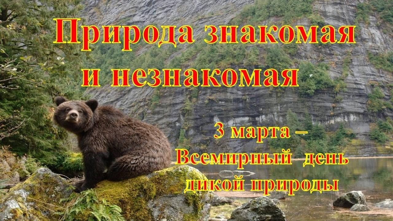 Незнакомая и знакомая природа картинки