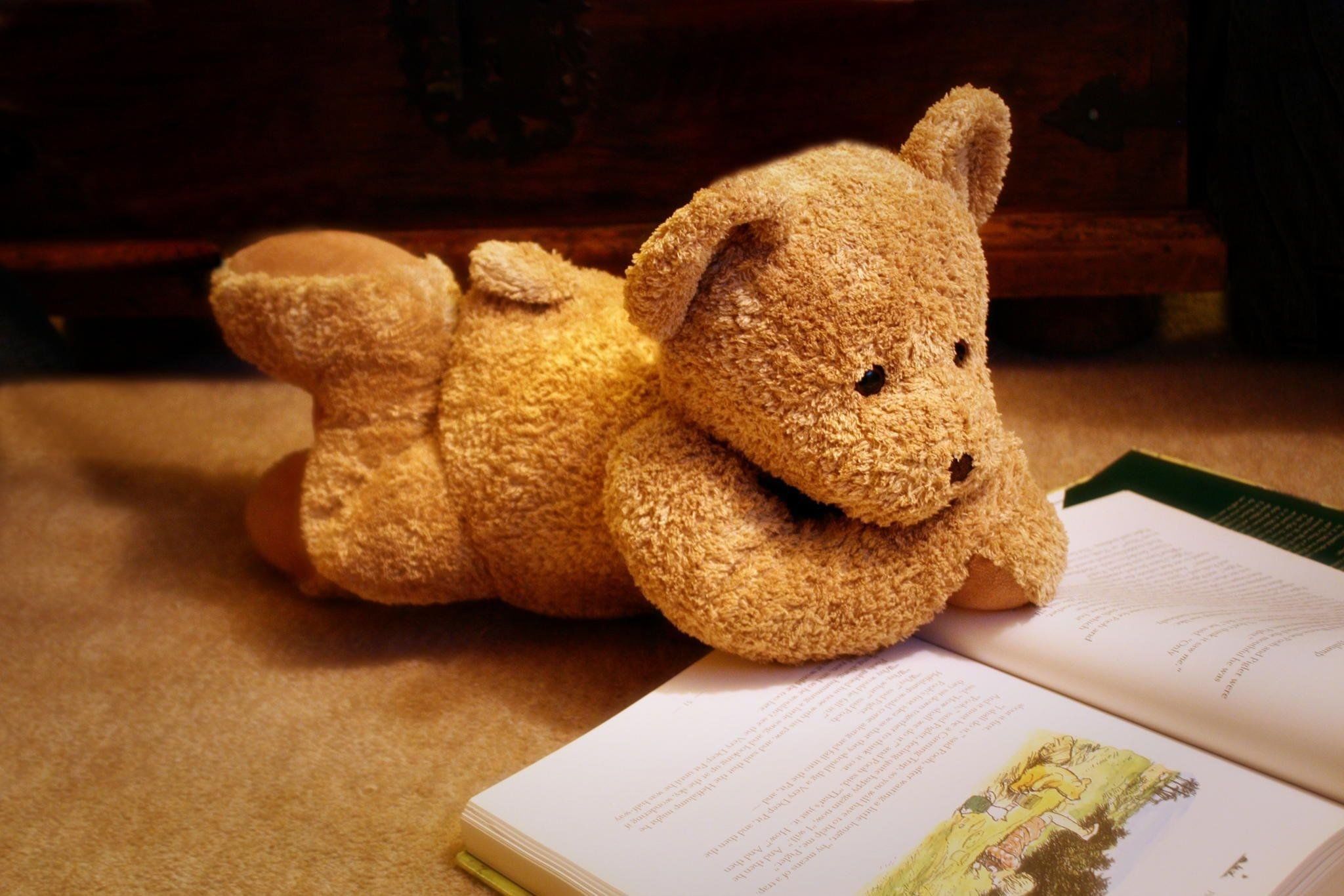 Плюшевый читать. Медвежонок с книжкой. Мишки в книжке. Плюшевый медведь. Мишка с книжкой игрушка.