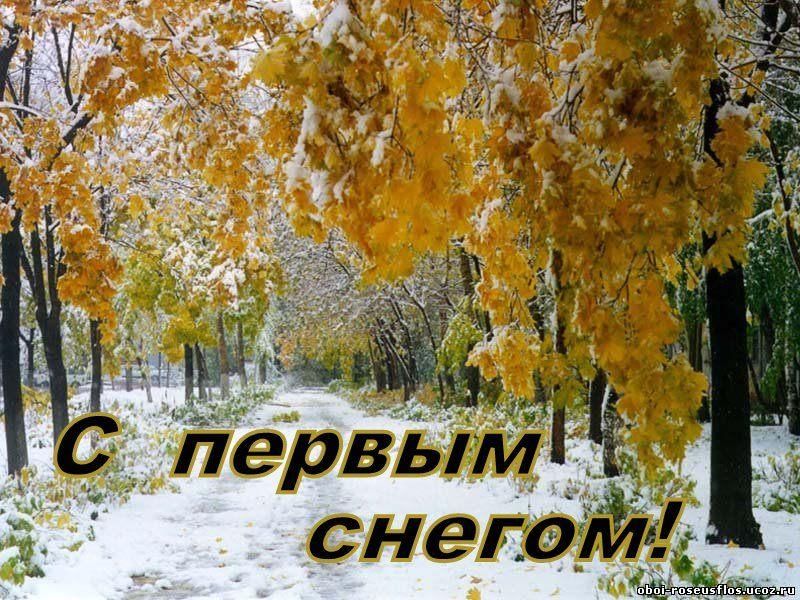 Доброе утро картинки пожелания первый снег С первым снежком" 2022, Зилаирский район - дата и место проведения, программа ме