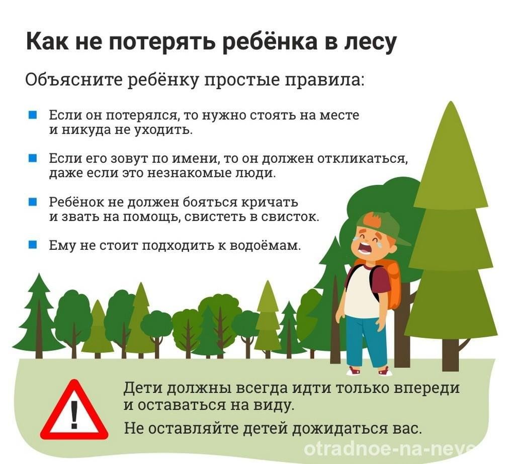 Что делать если заблудился в лесу презентация