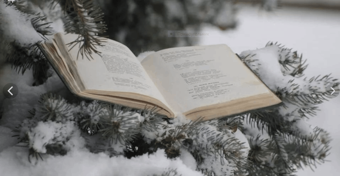 Читать зимних. Книги зима. Зимнее чтение. Книга на снегу. Книга на зимнем фоне.