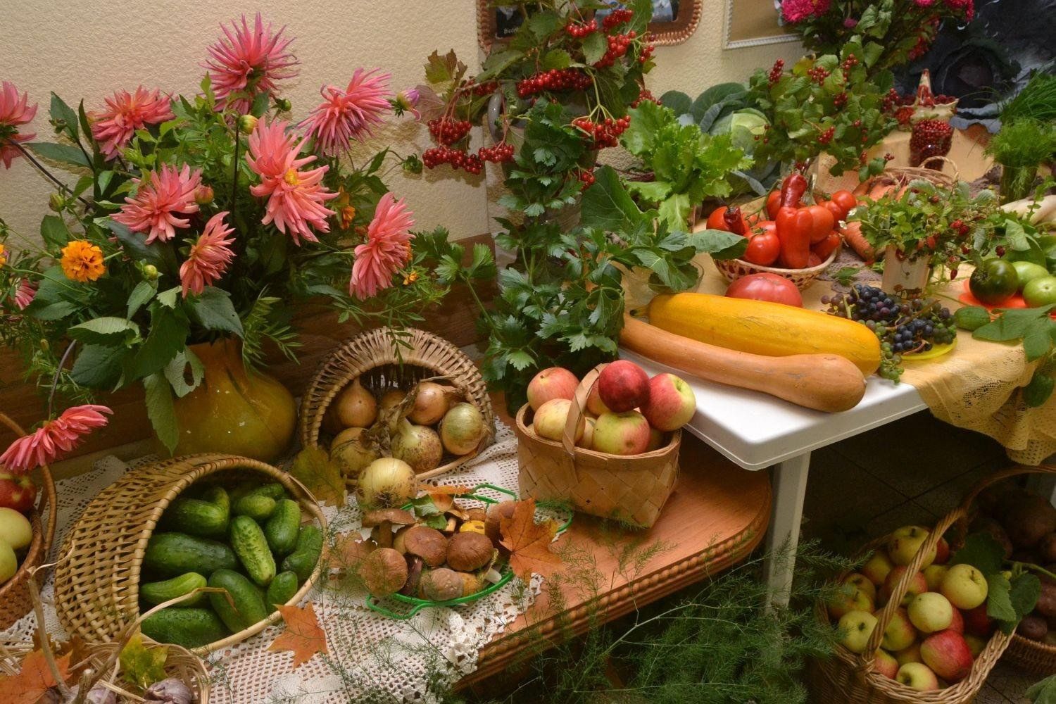 Выставки овощей. Выставка овощей. Оформления ярмарки цветов и овощей. Осенняя ярмарка овощей и фруктов. Выставка цветов и овощей.