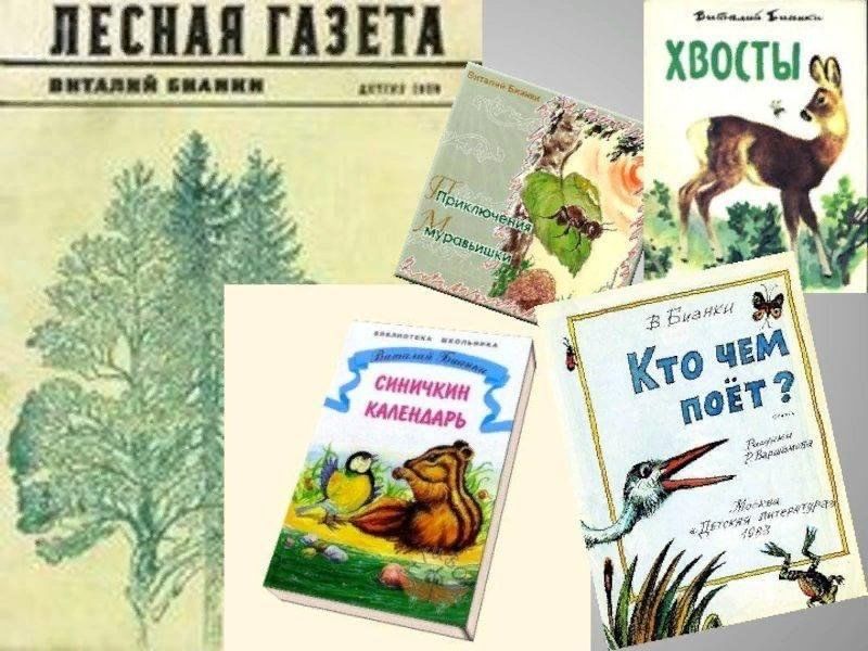 Рассказы лесная газета читать. Иллюстрация к рассказу Лесная газета. Бианки в.в. "Лесная газета". Лесная газета Виталия Бианки.