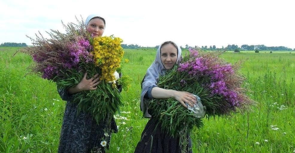 Симон посев картинки