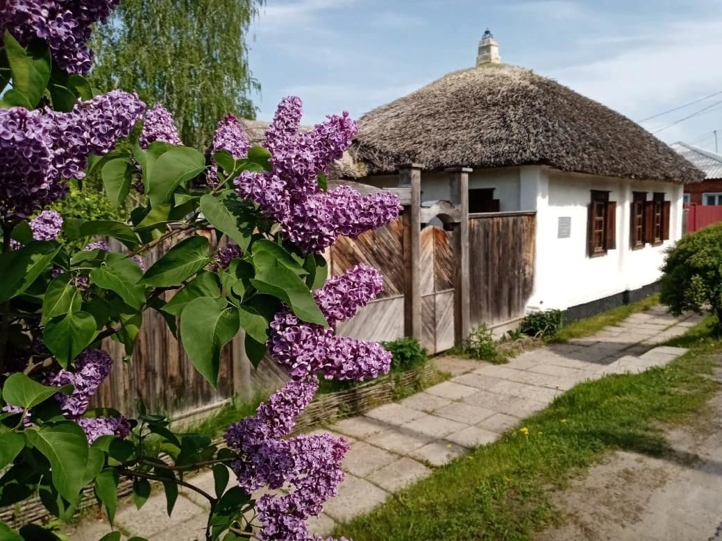 Дом-музей И.Н. Крамского — Острогожский район, ул. Маршака, д. 14.  Подробная информация о музее: расписание, фото, адрес и т. д. на  официальном сайте Культура.РФ