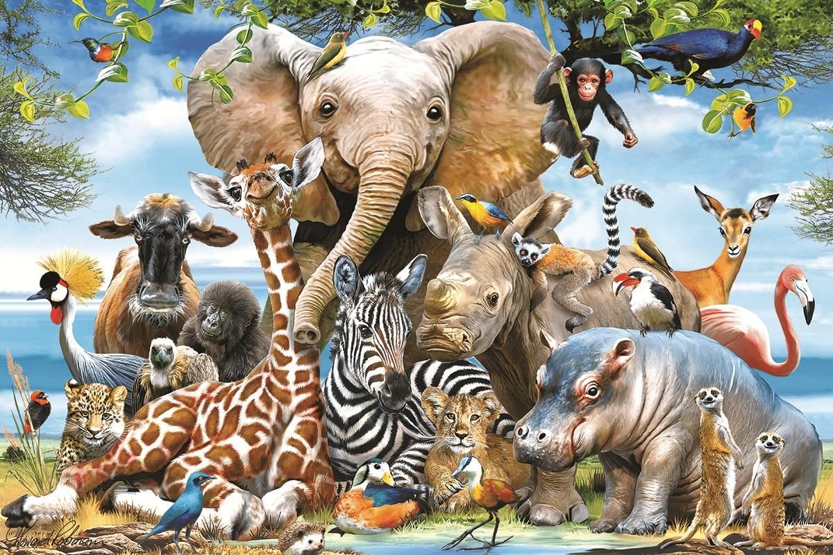 Картинки с разными животными