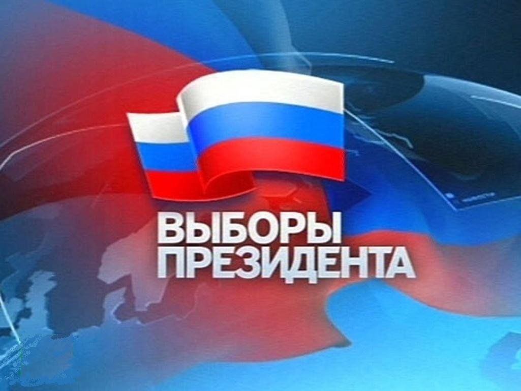 Выборы в российской федерации проект