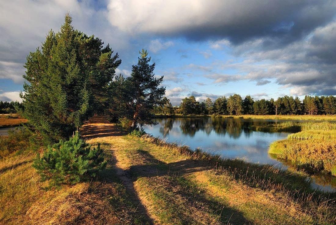 Природного родного края. БОЛЬШЕГРИДИНСКИЙ заповедник. Природа Афанасьевский район. Красота родного края. Родная природа.