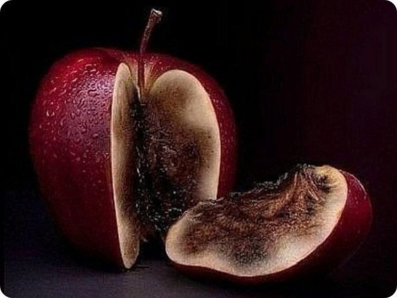 Яблоко гнилое внутри красивое снаружи