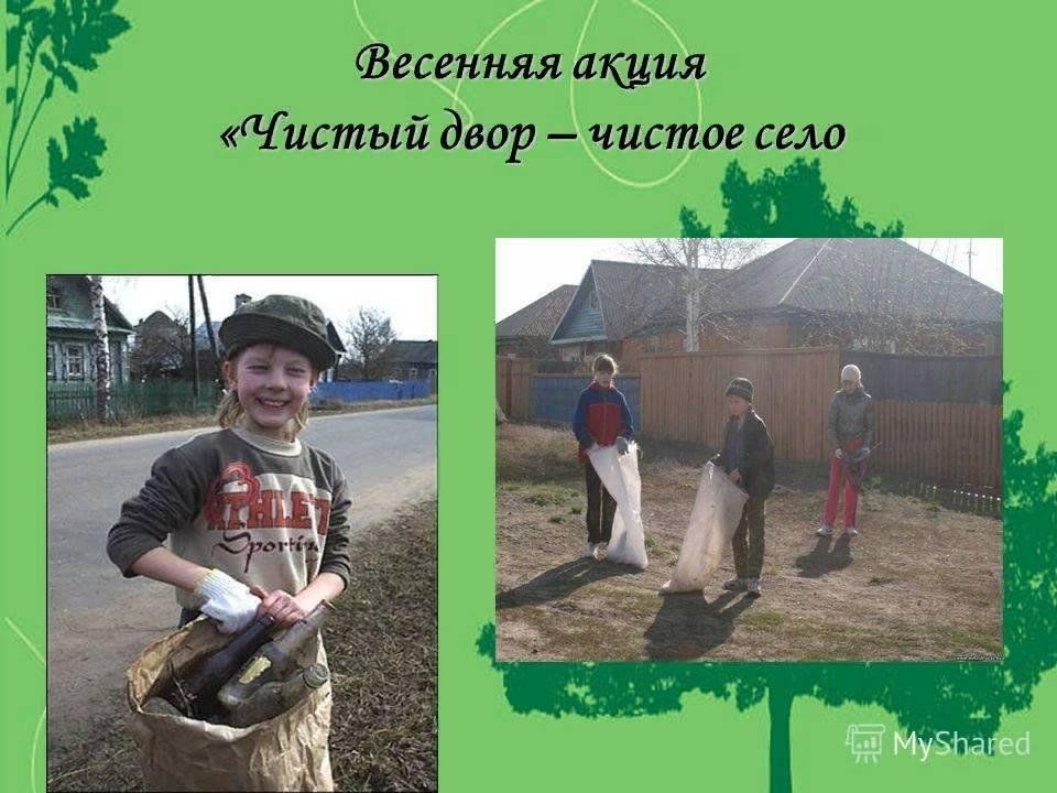 Проект чистое село