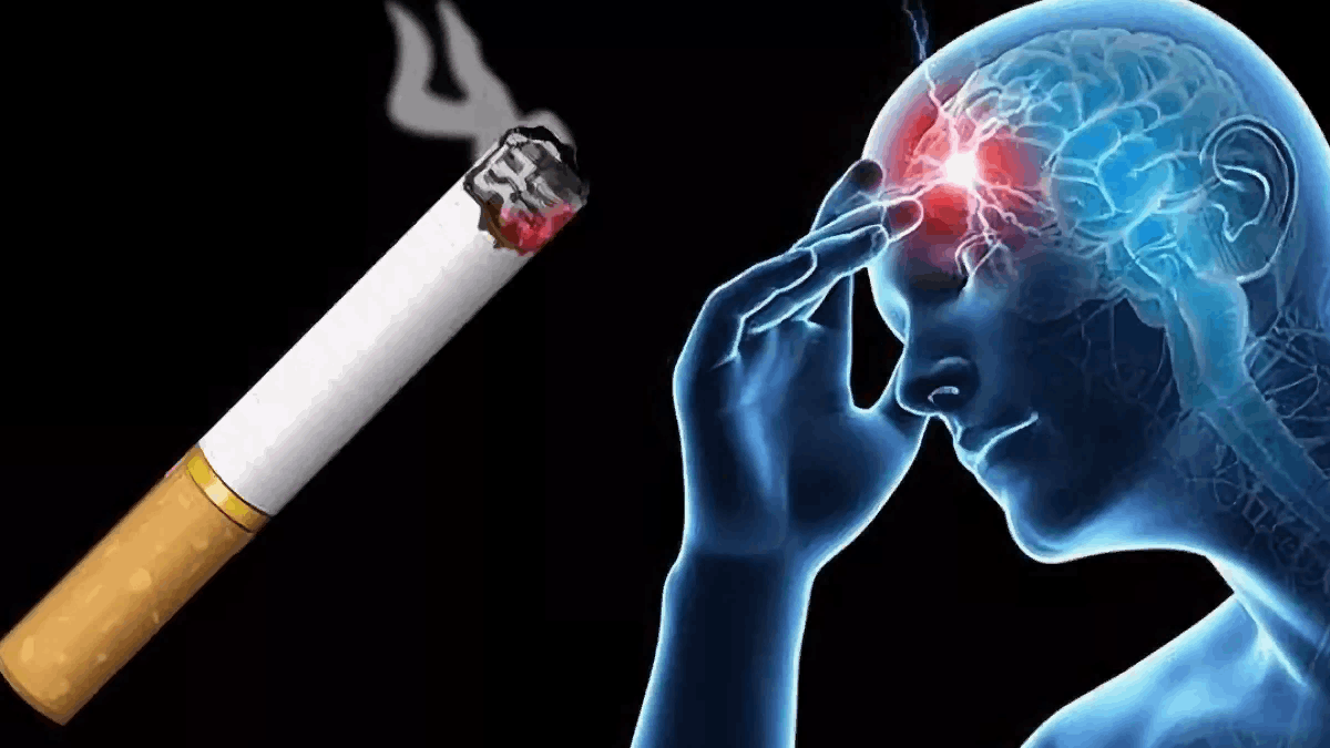 Бросил курить сосуды. Влияние курения на нервную систему. Курение и нервная система человека. Воздействие табака на нервную систему. Влияние сигарет на нервную систему.