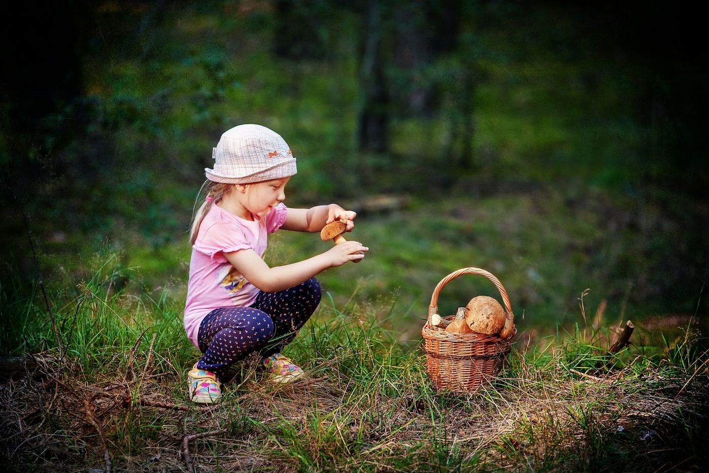 Девочка в лесу собирала грибы. Девушка с корзинкой грибов. Девочка в лесу собирает ягоды. Дети с корзинками в лесу. Девочка корзинка лес.