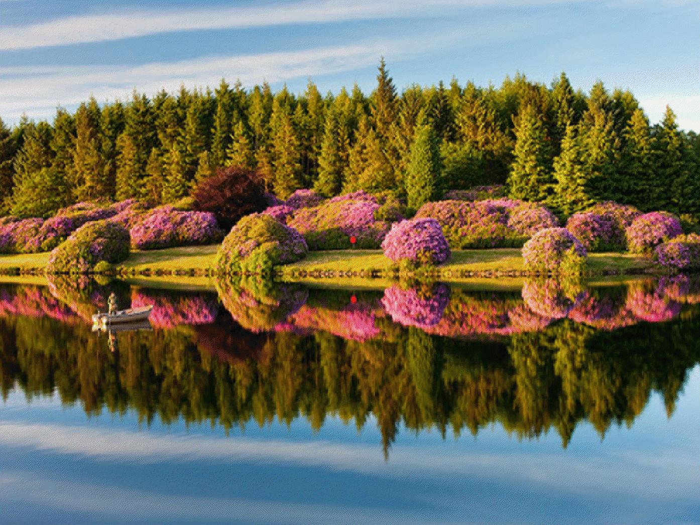 Красота природы пример. Красота окружающего мира. Отражение в воде. О красоте. Удивительная красота.