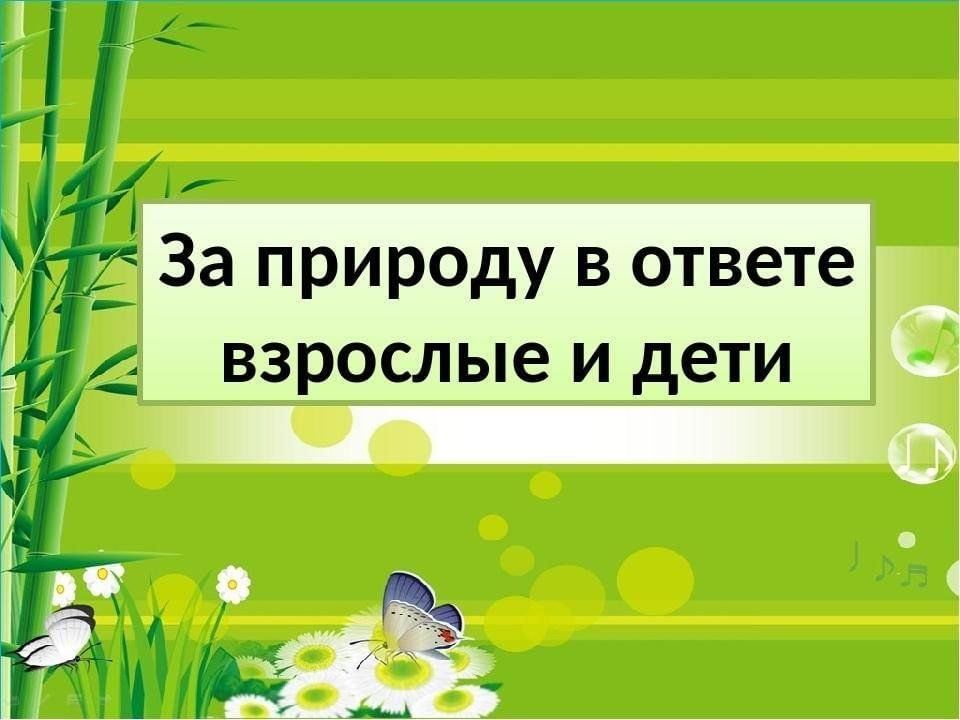 За природу в ответе и взрослые и дети картинки