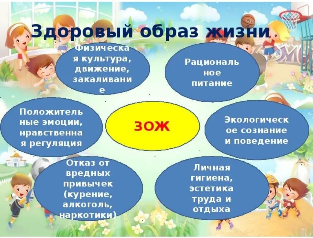 Презентация по ЗОЖ