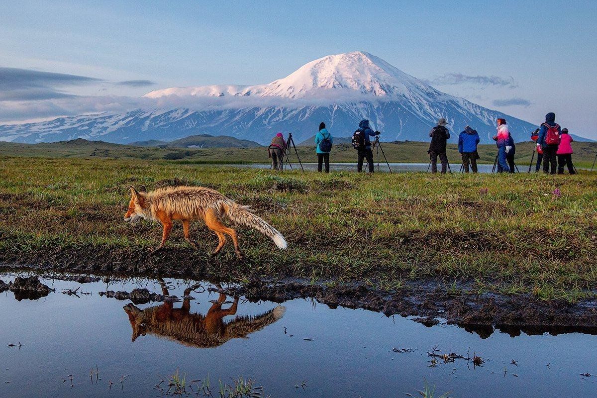 Камчатка лучшие фото Фотовыставка "Ни на что непохожая Камчатка" 2023, Вилючинск - дата и место прове