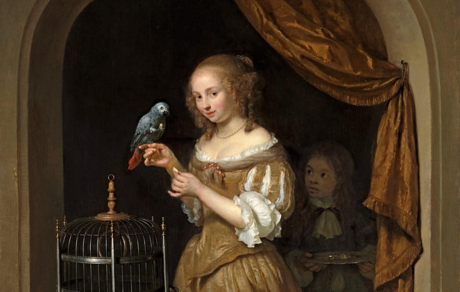Дама с попугаем отзывы. Золотой век голландской живописи Вермеер.