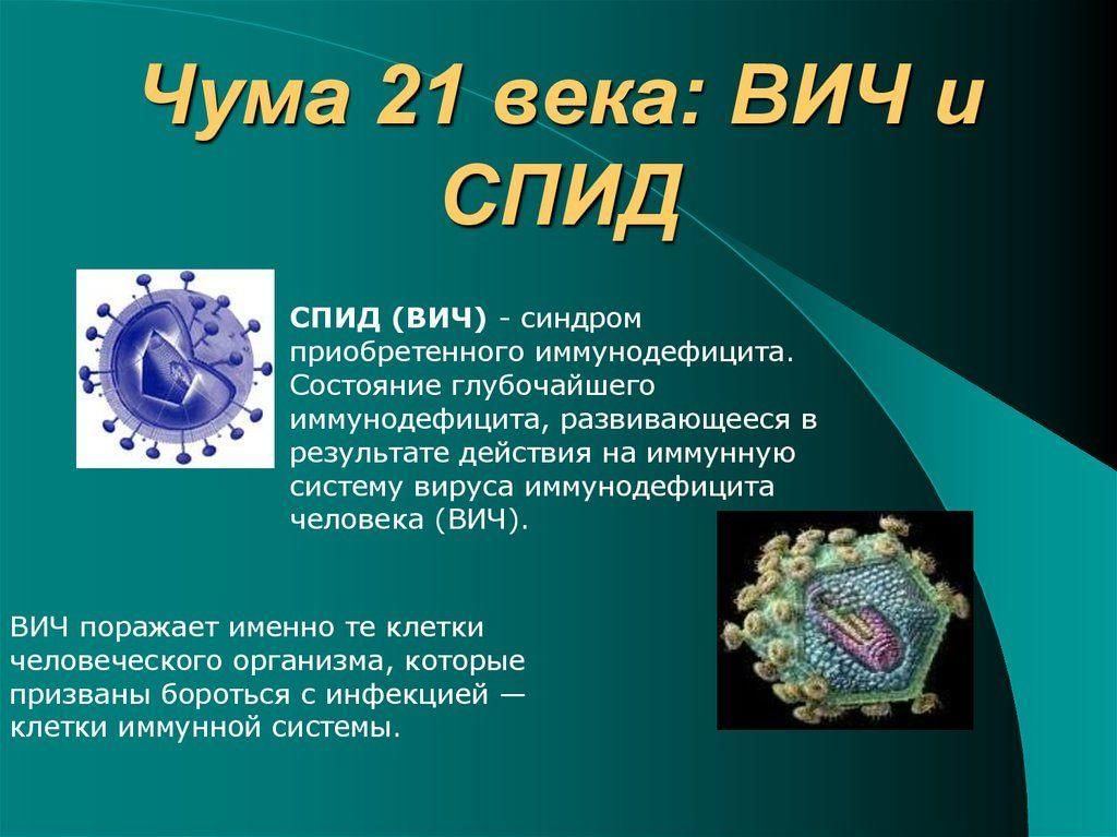 Проект по обж на тему спид чума xxi века