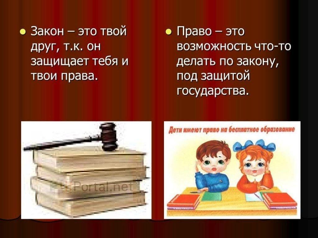 Знай свои права проект