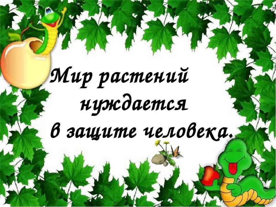 Зеленый друг. Что нуждается в защите. Почему именно цветы нуждаются в защите.